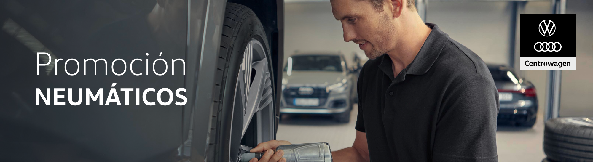 cabecera neumaticos