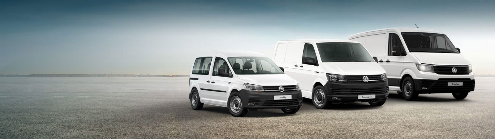 Productos y Servicios VWC