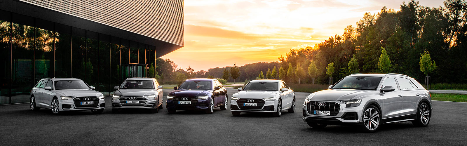 Productos y Servicios